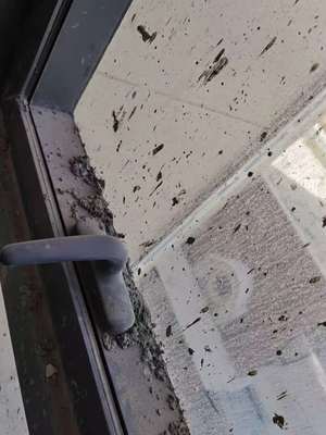 西寧專業(yè)保潔與維修服務指南 開荒、精保潔、清洗及防水補漏